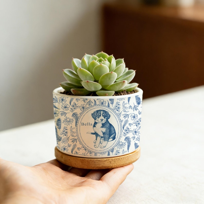 May include: A small, round ceramic planter with a succulent plant. The planter is white with a blue floral design and a blue illustration of a puppy named Bella. The planter sits on a wooden saucer.