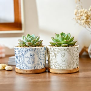 May include: Two small succulent plants in decorative ceramic pots. The pots feature a dog illustration and floral patterns in blue and beige. Each pot sits on a round bamboo saucer. One pot is labeled "Callie" and the other "Rowdy".