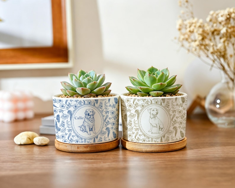 May include: Two small succulent plants in decorative ceramic pots. The pots feature a dog illustration and floral patterns in blue and beige. Each pot sits on a round bamboo saucer. One pot is labeled "Callie" and the other "Rowdy".
