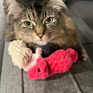 CATNIP INFUSED, Crocheted handmade Cat Toy, with organic cat nip