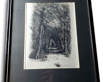 1887 Amos W. Sangster Incisione originale firmata a mano – “La passeggiata degli innamorati, Goat Island” – Cascate del Niagara – Incorniciata