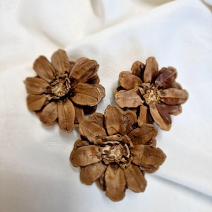Pine cone daisy Flowers Pine cone Zinnia Pine Cone Flowers Zinnia pinecone Natural Crafting cones Wreath making zinnia pinecone flowers