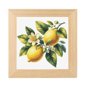 Citrus  Design for Cross Stitch, Lemon fruit embroidery pattern, Lemon Fruit Embroidery Design - Instant Download Pattern