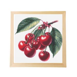 Schema ricamo ciliegia - Disegno punto croce frutta succosa, Schema punto croce ciliegia moderna - Disegno ricamo floreale