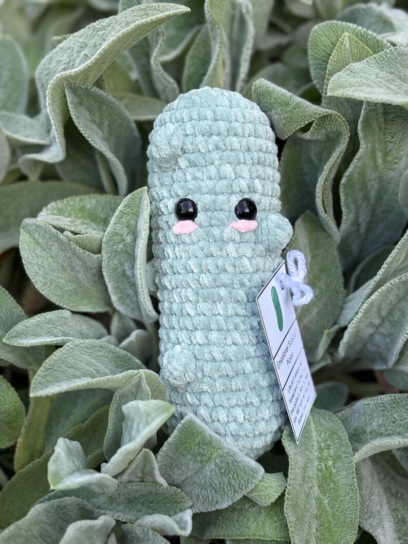 Peluche de pepinillo hecho a mano con apoyo emocional imagen 9