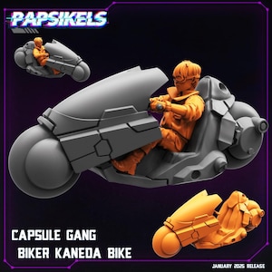 3D Printed Akira Miniature Capsule Gang Biker Kaneda Cyberpunk Anime Roleplay 32mm Papsikels
