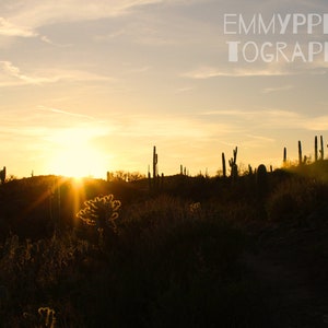 An Arizona Sunset | Nature photography | Arizona | Digital Download | Wall Art | Room Decor | Landscape | Sunset | Arizona Photography