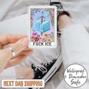Adesivo/magnete per auto "Fuck Ice Tarot Card Anti Trump", adesivo "Abolisci ICE", adesivo "Nessun essere umano è illegale", adesivo politico, "Resisti al ghiaccio"