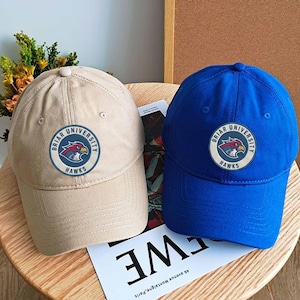Embroidered Briar University Hockey Dad Hat, Off Campus Series Bookish Hat, Hockey Romance Baseball Hat, Graham 44 Hat, Custom Cap