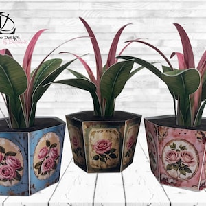 Pflanzen drucken und basteln in DIN A4 Geschenk Palme Blumen Bilder für Schere oder Schneidemaschine Muttertag