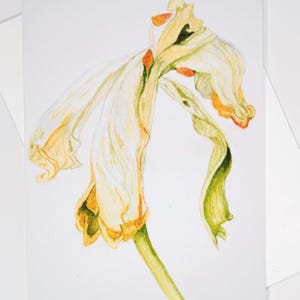 GELBE BLÜTENBLÄTTER.  Individuelle 13x18 Blanko Grußkarten bedruckt mit einem gerahmten Original Aquarell Bild. Umschläge werden mitgeliefert.