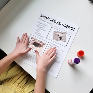 Könnte beinhalten: Ein Arbeitsblatt für einen Tierforschungsbericht für ein Kind. Das Arbeitsblatt zeigt ein Bild eines Eidechsen und eines Lochs im Boden. Das Kind hat einige Informationen ausgefüllt, darunter den Namen des Tieres, "Eidechse", und die Höhe, "27,5 Zoll".