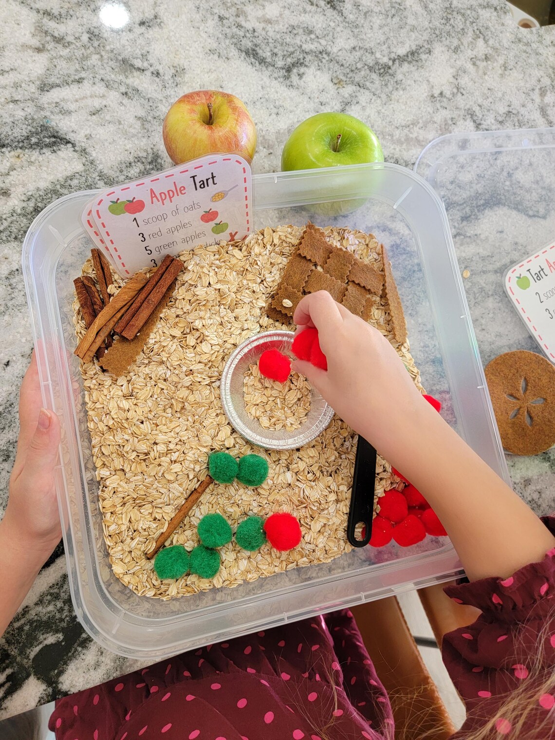 Apples Unit Study - Etsy