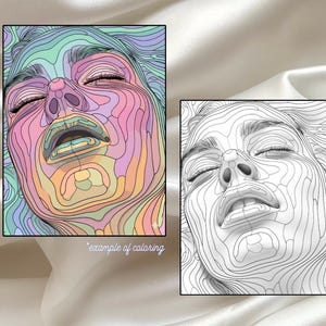 May include: Two framed art prints. One is a colourful, abstract portrait with pastel hues. The other is a black and white line drawing of the same face. The text "example of coloring" is below the colourful print.