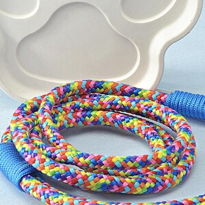 Boy and girl dog leash options, ideal for puppies and adult dogs alike.