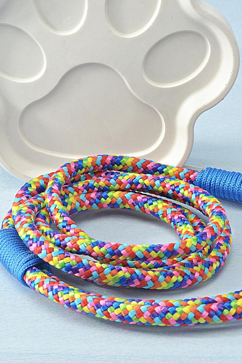 Boy and girl dog leash options, ideal for puppies and adult dogs alike.
