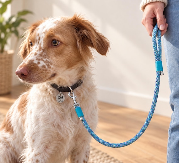 Colorful Rope Dog Leash Handmade Braided Lead Pastel Dog Walking Accessory Turquoise Pet Gift Durable Leash for Small Medium Dogs