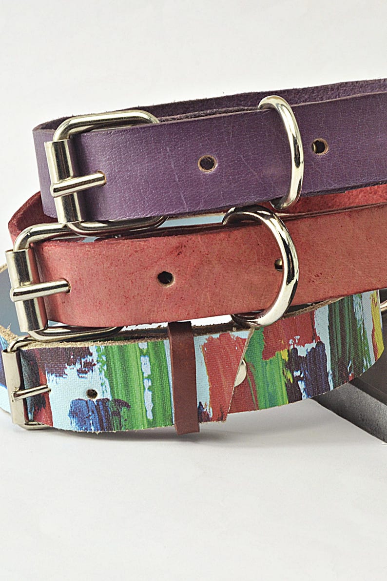 Custom Dog Collar Abstract Design Leather Material Handpainted Artistic Pattern Unique Style Statement Piece Luxury Pet Accessory Boutique Collection Fashionable Distinctive Look Elegant Refined Appearance Premium Quality Construction