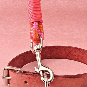 paracord dog leash with a collar and dog tag, showcasing the complete set