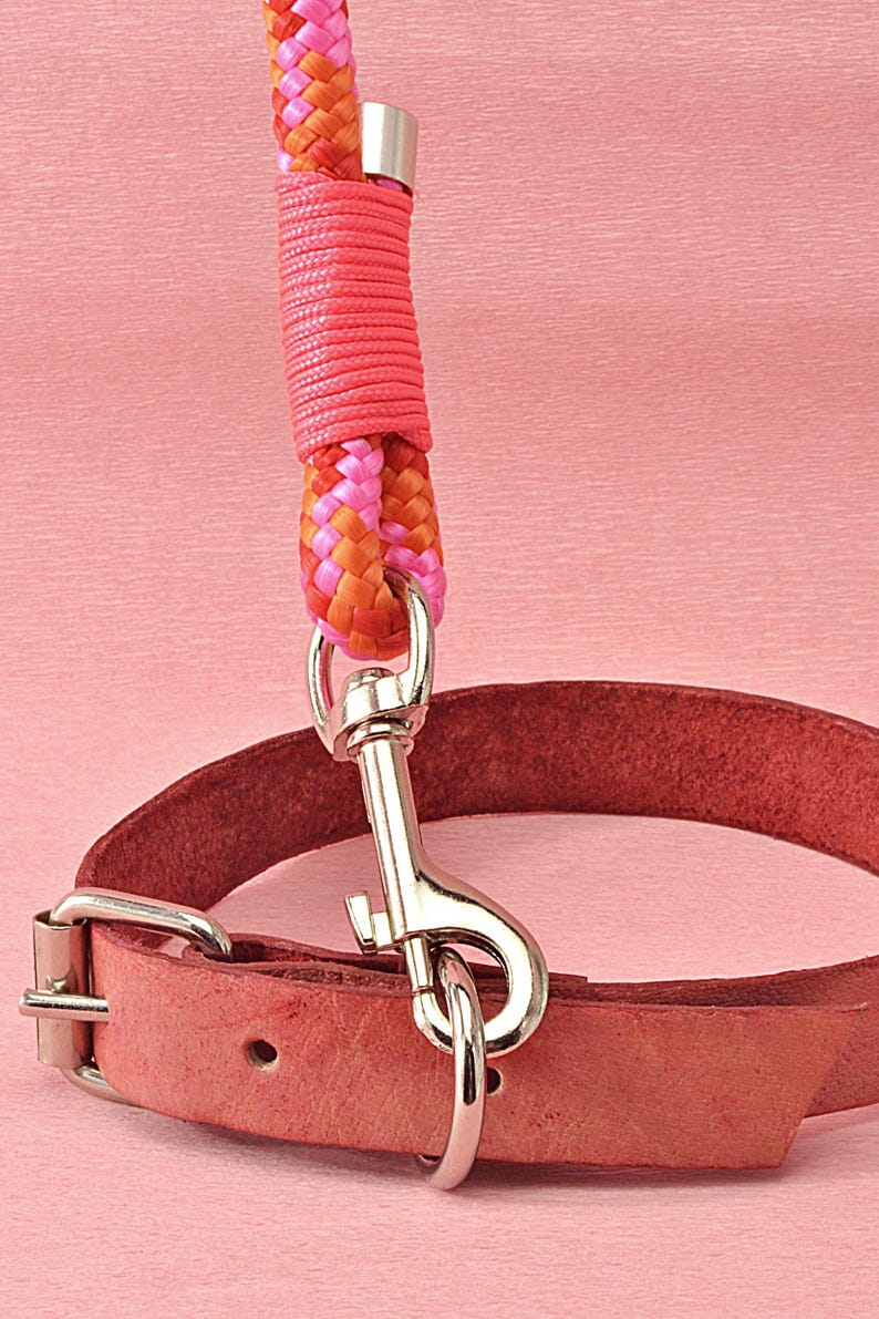 paracord dog leash with a collar and dog tag, showcasing the complete set