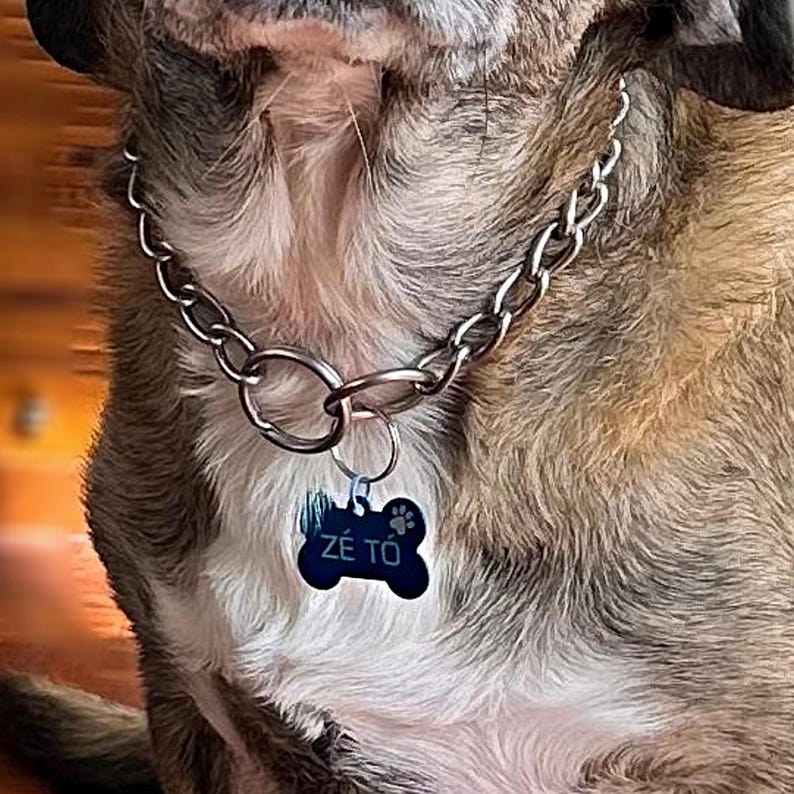 Dog  Name Tag Personalized Pet Tag Colorful Engraved Dog ID Tag