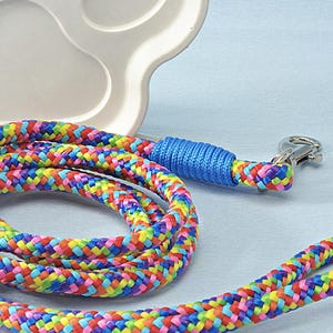 Fashionable dog leash displayed, highlighting details
