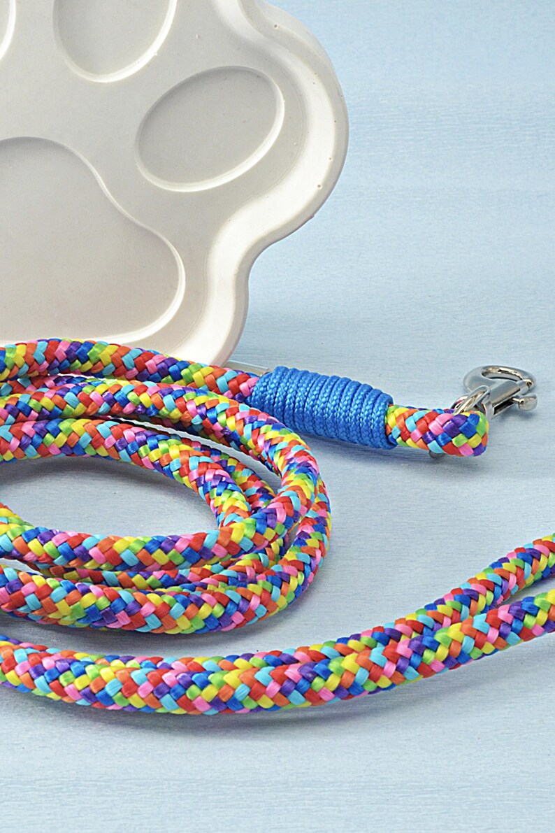 Fashionable dog leash displayed, highlighting details
