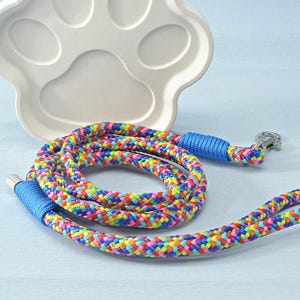 Cute Dog Leash for Puppy or Adult Dog – Stylish Pet Leash Gift for Dog Mom or Dad – Durable Everyday Leash – New Puppy Gear Accessory