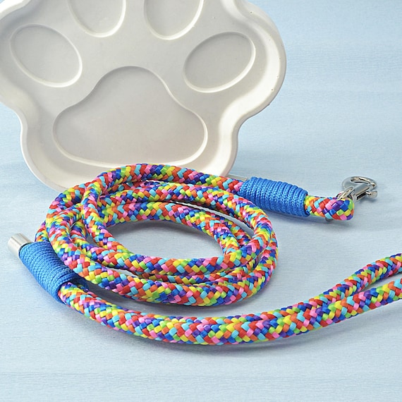Colorful Braided Paracord Dog Leash – Durable Nylon Pet Accessory for Puppy or Adult Dog