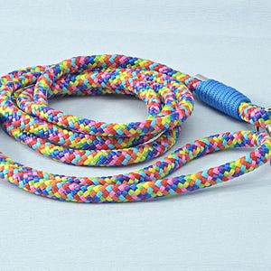 Cute dog leash shown on a neutral background, perfect gift for new puppy owners or pet lovers.
