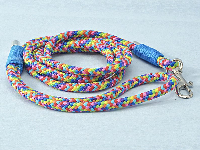 Cute dog leash shown on a neutral background, perfect gift for new puppy owners or pet lovers.