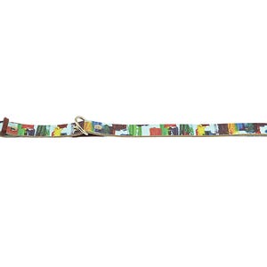 Dog Show Accessory Premium Leather Collar Abstract Design Pattern Handpainted Artistic Details Custom Made Construction Luxury Pet Boutique Item Unique Style Statement Piece Fashionable Distinctive Look Professional Quality Material Durable