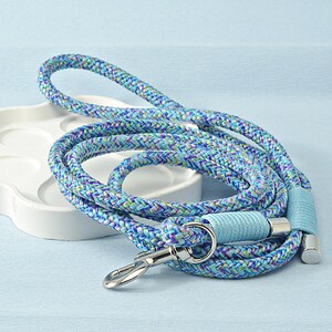 Personalized dog leash, styled with pet gear for a cute and functional walk setup.