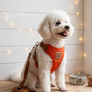 Personalized Dog Harness and Leash Set: Custom Embroidered Name Harness for Small & Medium Dogs