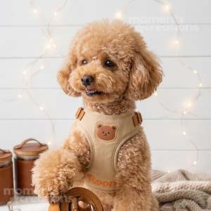 Personalized Dog Harness and Leash Set: Custom Embroidered Name Harness for Small & Medium Dogs