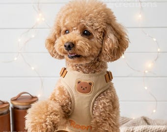 Personalized Dog Harness and Leash Set: Custom Embroidered Name Harness for Small & Medium Dogs