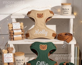 Pettorina per cani personalizzata con ricamo – Set personalizzato con guinzaglio abbinato