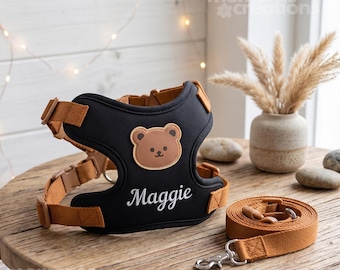 カスタム刺繍入り犬用ハーネス – お揃いのリード付きパーソナライズセット