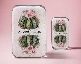 Cactus tin LARGE,  Notions tin, treasure box, jewellery box