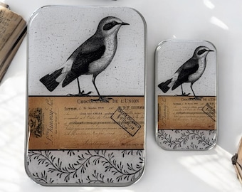 Kleine Vogel Notions Dose GROSS