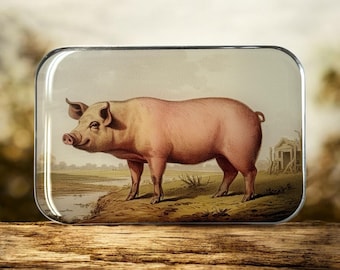 Vintage Schweine Notions Dose