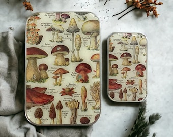 Scatola di Funghi: Grande Contenitore Scorrevole con Coperchio in Resina per Articoli da Cucito