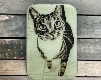 Cat knitting notions tin, LARGE card case (026)