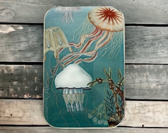 Jelly fish tin SMALL,  Notions tin, treasure box, jewellery box (034)