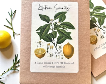 Botanisches Rezeptkarten-Set — 12 leere Karten + Bananenbrot-Rezept