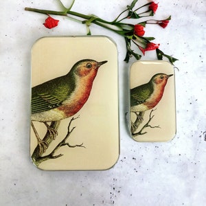 LARGE Robin notions tin (020)