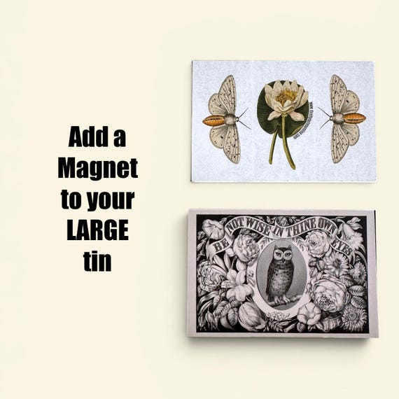Magnetic Insert: Large Tin Add-On