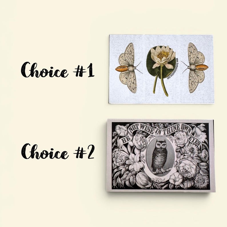 May include: Two art prints are displayed. Choice #1 features a butterfly and a water lily. Choice #2 showcases an owl surrounded by floral elements, with the text "BE NOT WISE IN THINE OWN EYES".