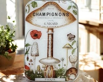 Vintage Mushroom Notions Dose - Pariser Waldausgabe