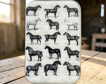 Studie der Pferde Notions Dose